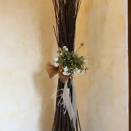 Bed & Breakfast Casa Clemy Gallicano nel Lazio