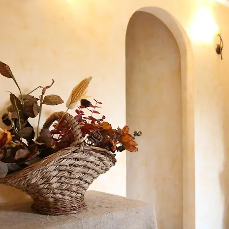 Bed & Breakfast Casa Clemy